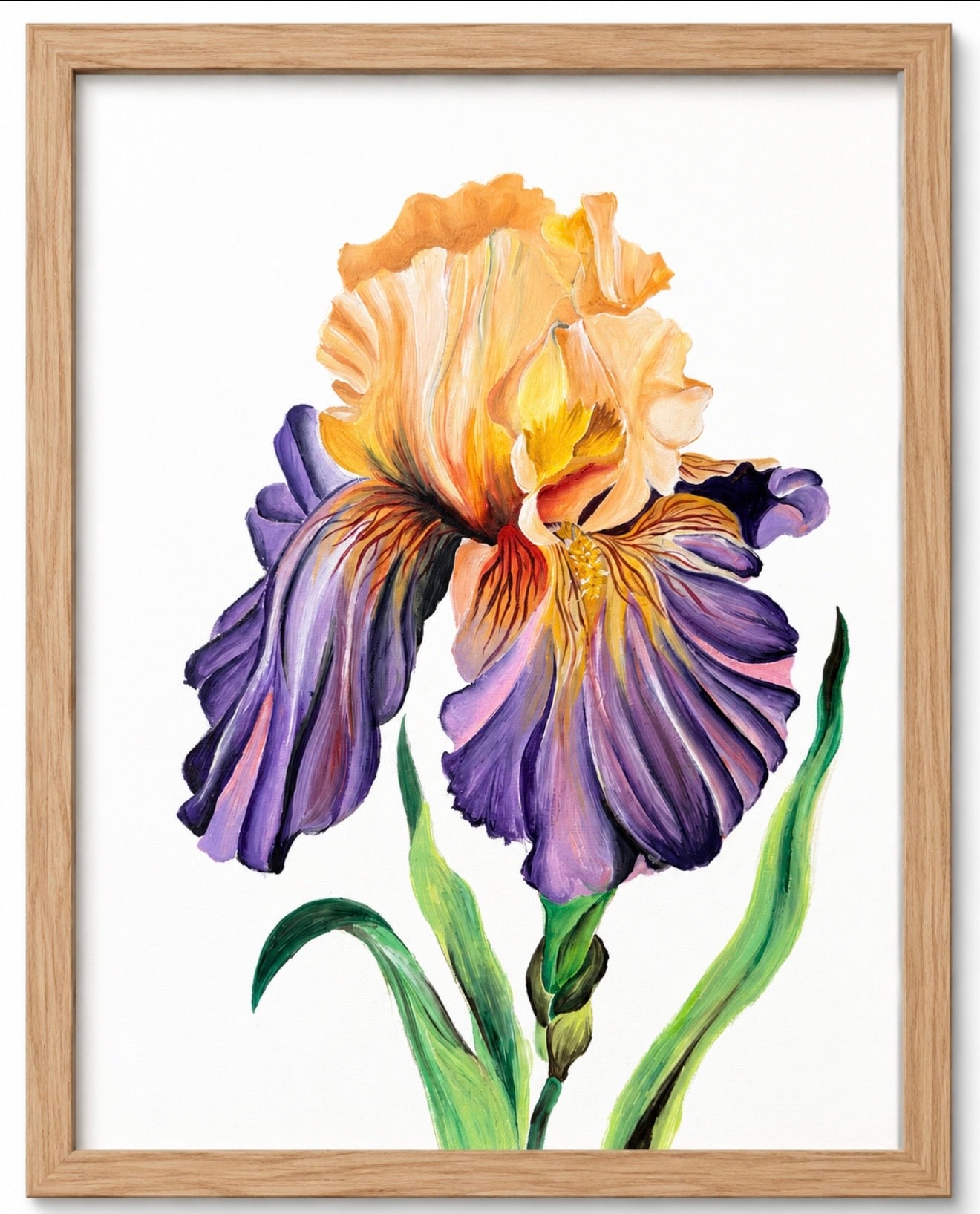 Dark before dawn iris