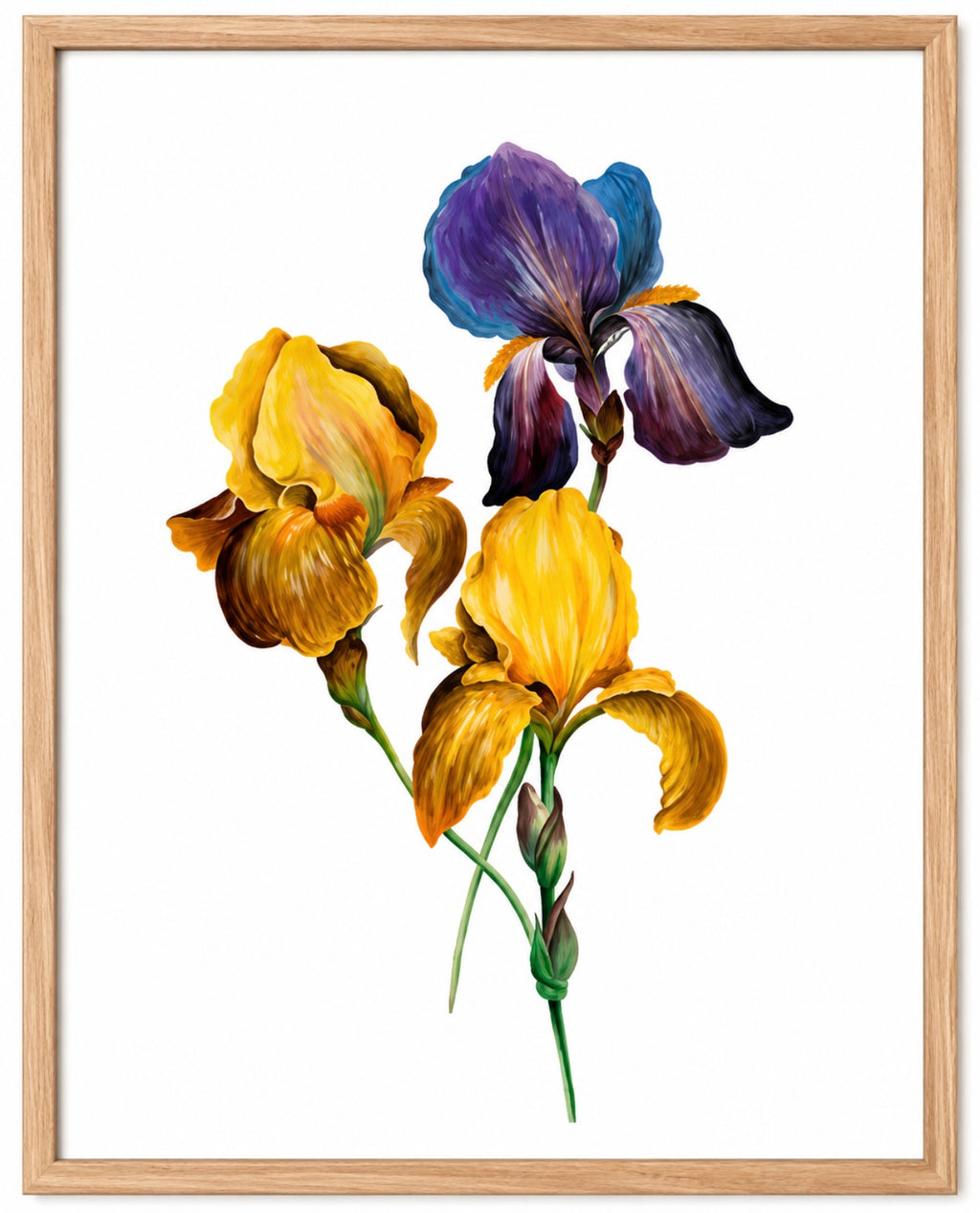 Three Irises