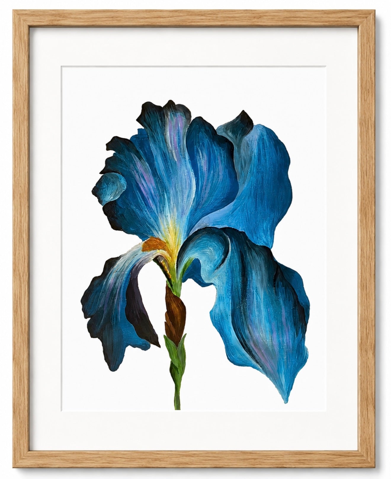 Blue iris